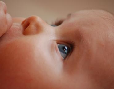 face-baby-35446.jpg Ретинопатия недоношенных