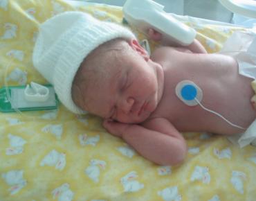 freya-1437159-1600x1200.jpg фото